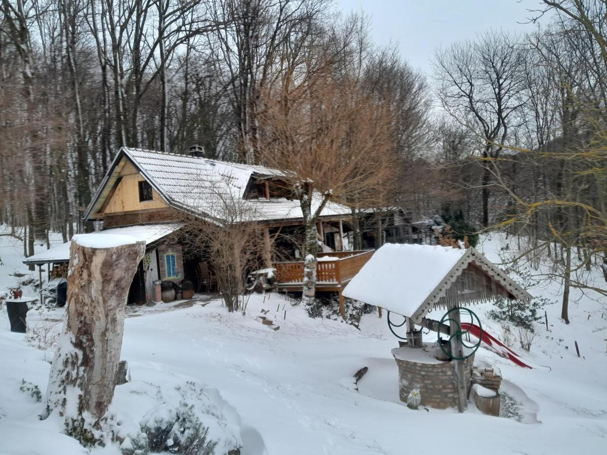 زغرب Country House With A Pool In Medvednica Nature Park المظهر الخارجي الصورة