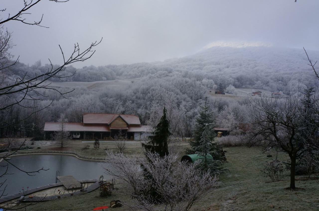 زغرب Country House With A Pool In Medvednica Nature Park المظهر الخارجي الصورة